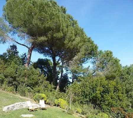 Ilaria * Casa Tonietti