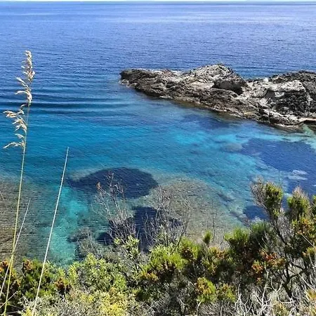 Apartament Ilaria *